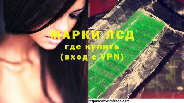 тгк Алзамай