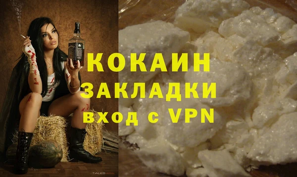 тгк Алзамай